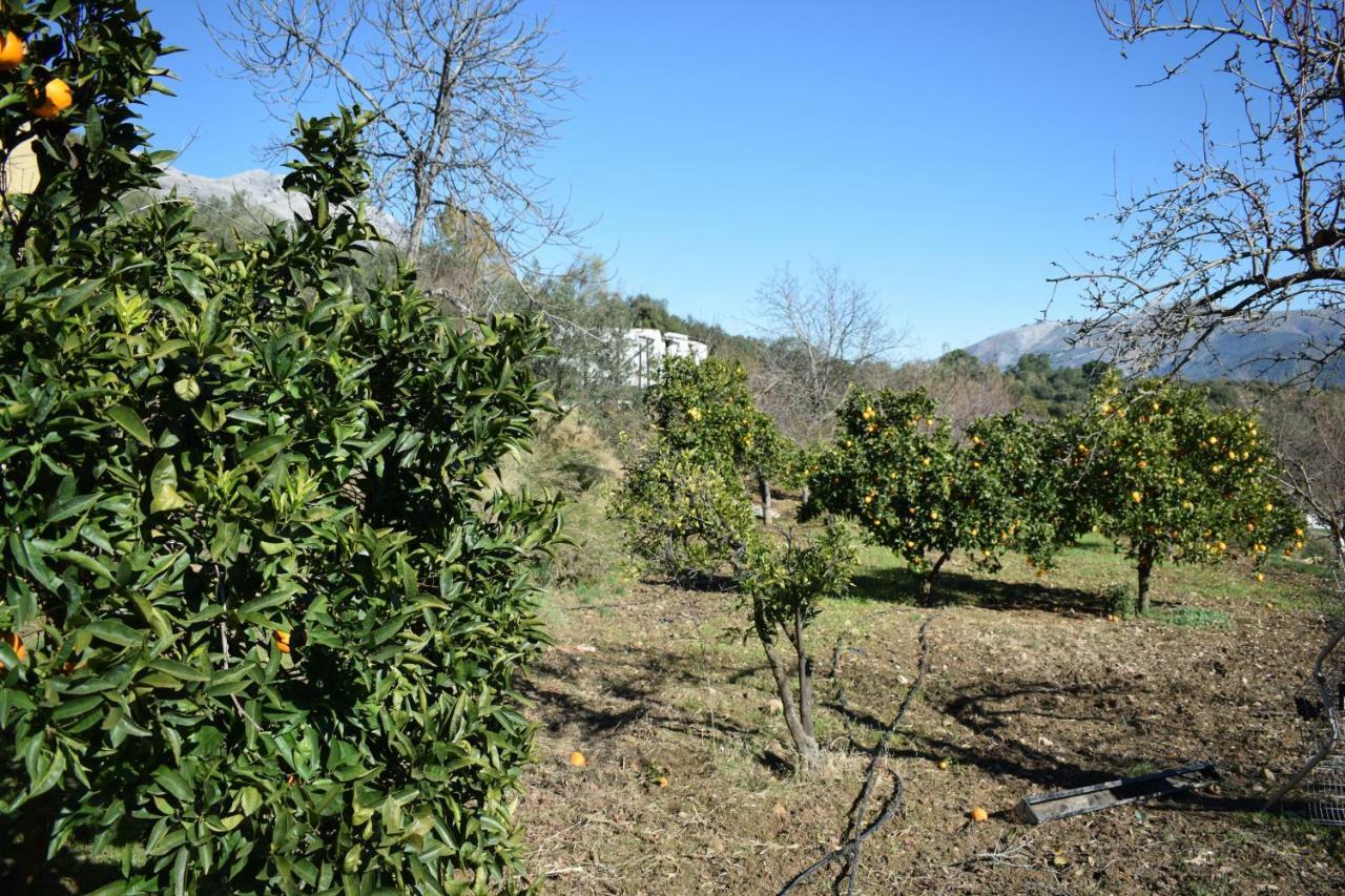 منزل الضيف كورتيس دي لا فرونتيرا  في Casa El Pino المظهر الخارجي الصورة